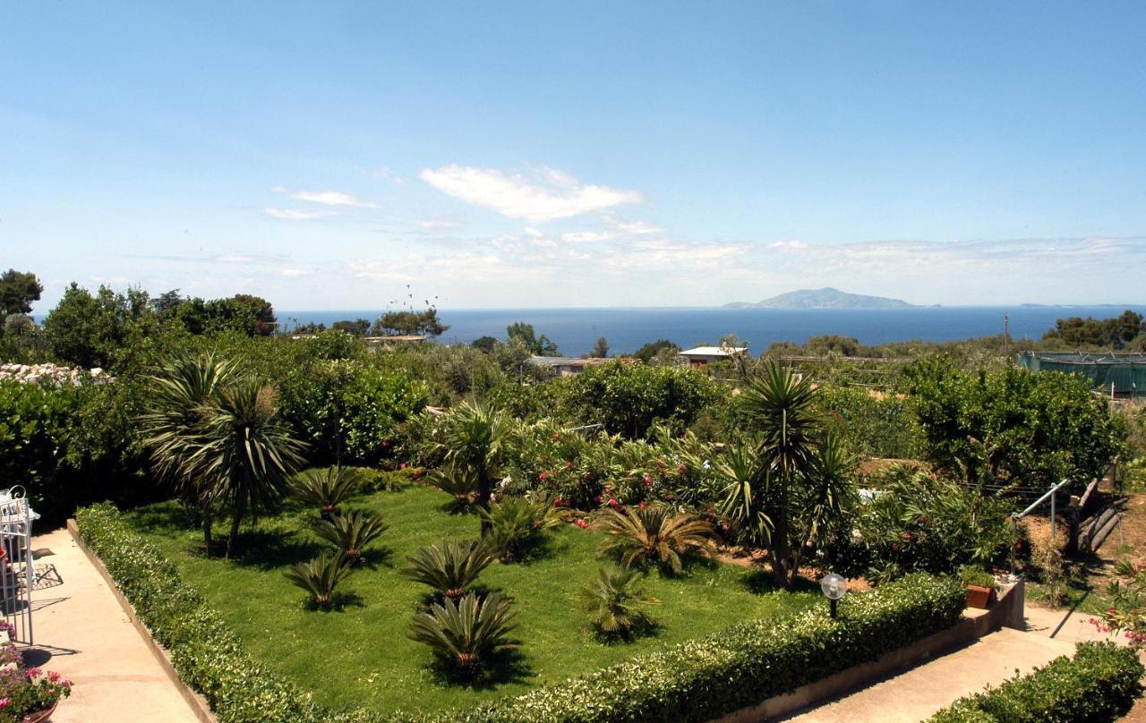 Villa Damecuta B&B Anacapri  Dış mekan fotoğraf