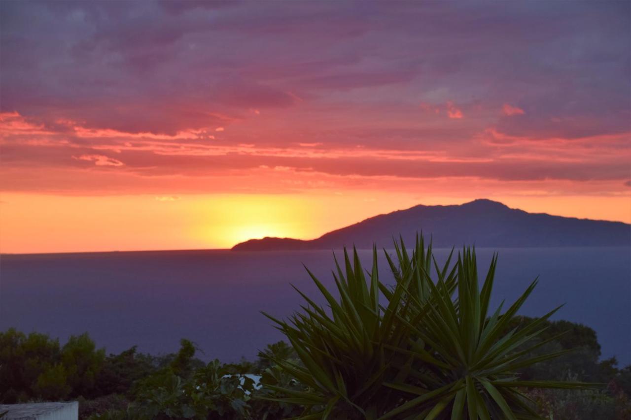 Villa Damecuta B&B Anacapri  Dış mekan fotoğraf