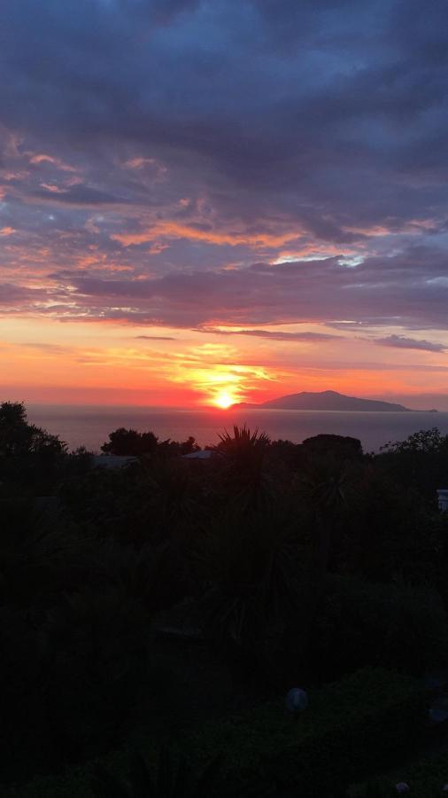 Villa Damecuta B&B Anacapri  Dış mekan fotoğraf