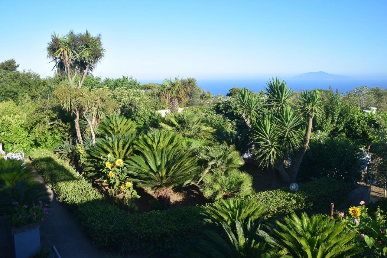 Villa Damecuta B&B Anacapri  Dış mekan fotoğraf