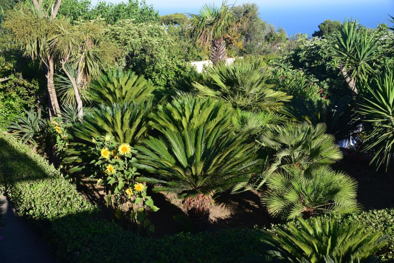 Villa Damecuta B&B Anacapri  Dış mekan fotoğraf