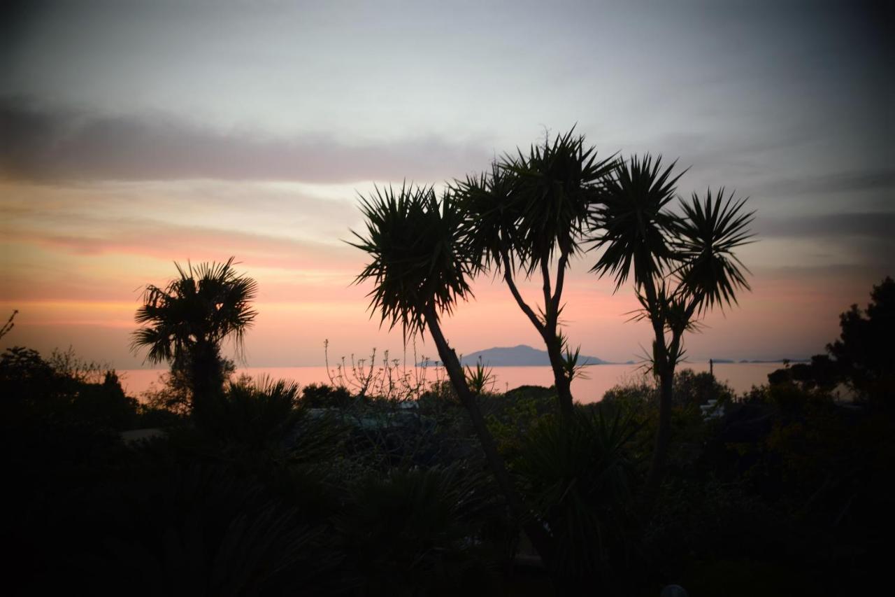 Villa Damecuta B&B Anacapri  Dış mekan fotoğraf