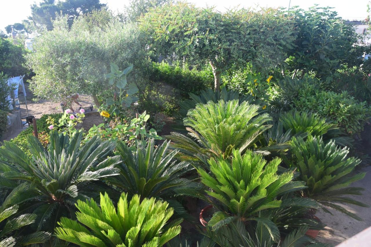 Villa Damecuta B&B Anacapri  Dış mekan fotoğraf